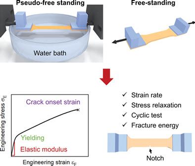 mechanical testing of soft polymers|soft material mechanics.